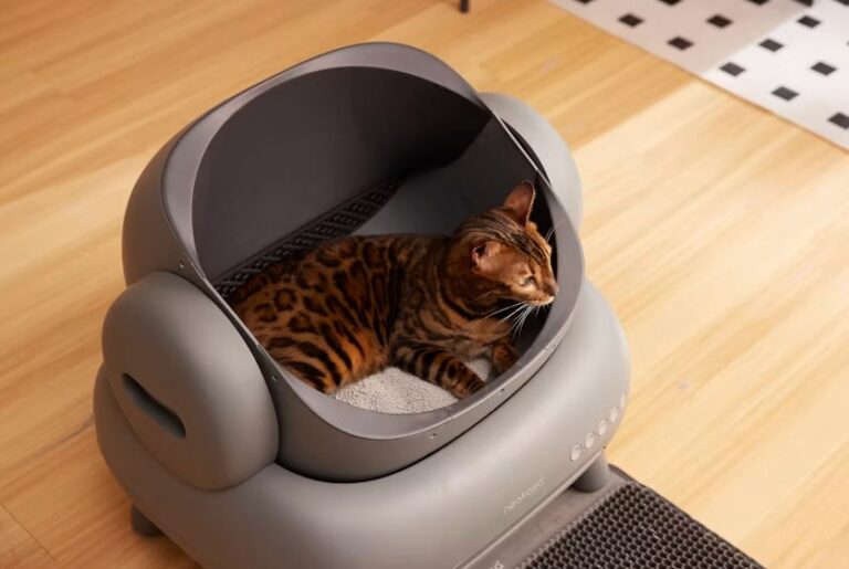 Cat Litter Robot