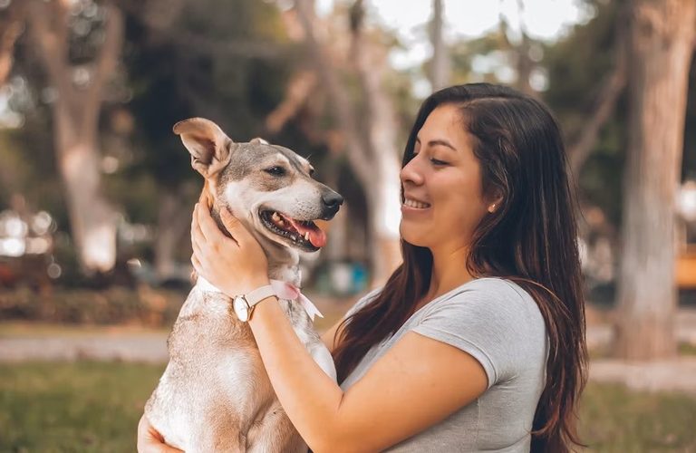 Pet Lover